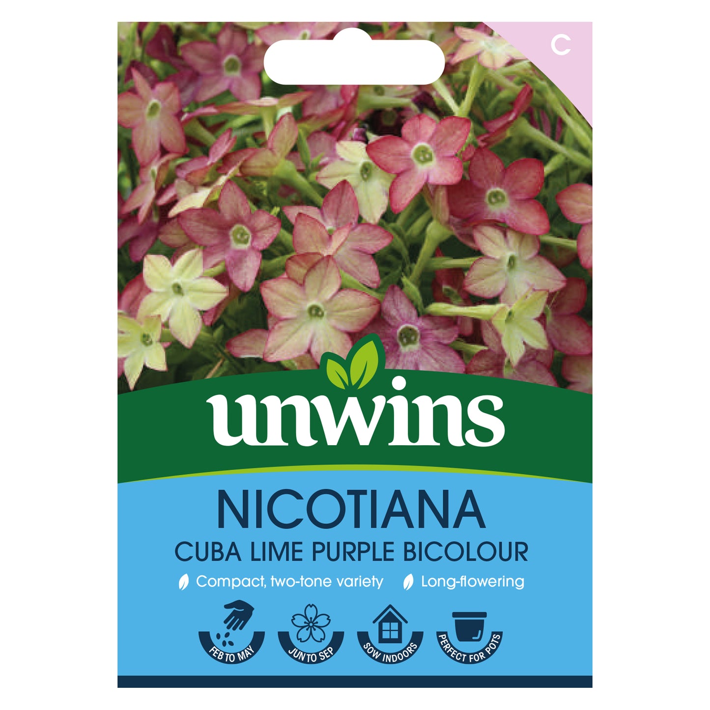 Unwins Nicotiana Cuba Lime Purple Bicolour Seeds front of pack