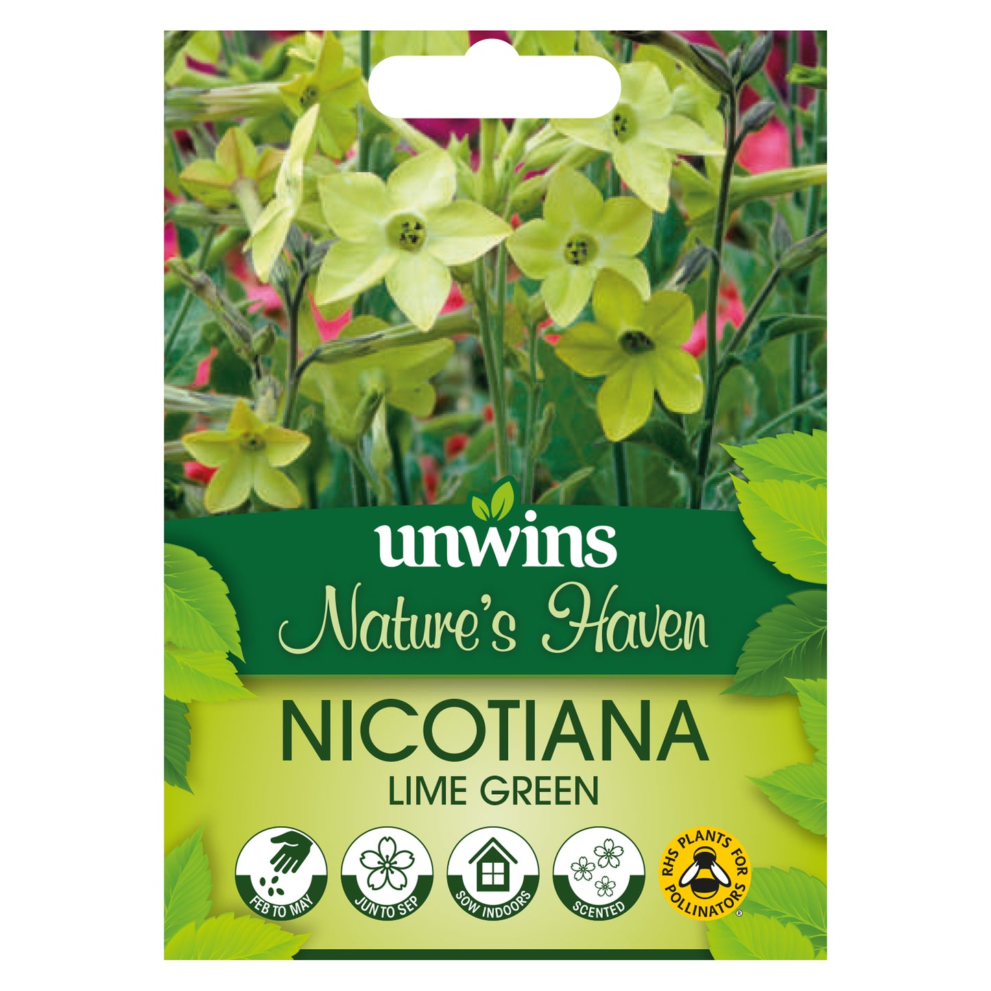 Nature's Haven Nicotiana Lime Green Seeds Front