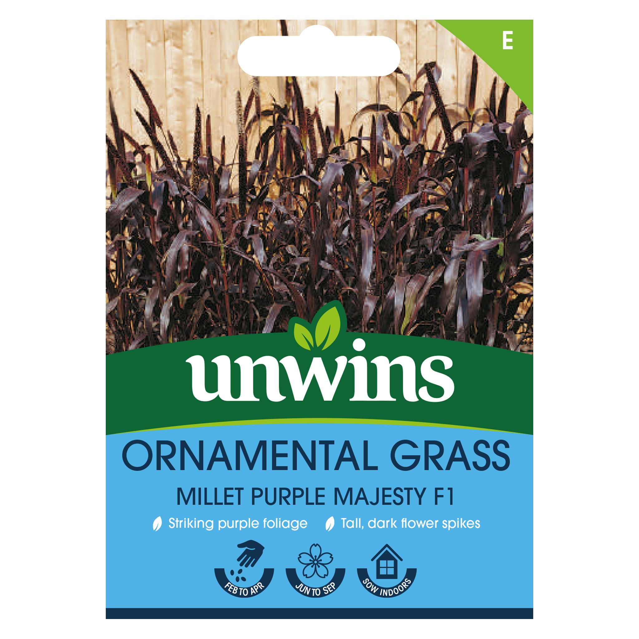 Unwins Ornamental Grass Millet Purple Majesty F1 Seeds