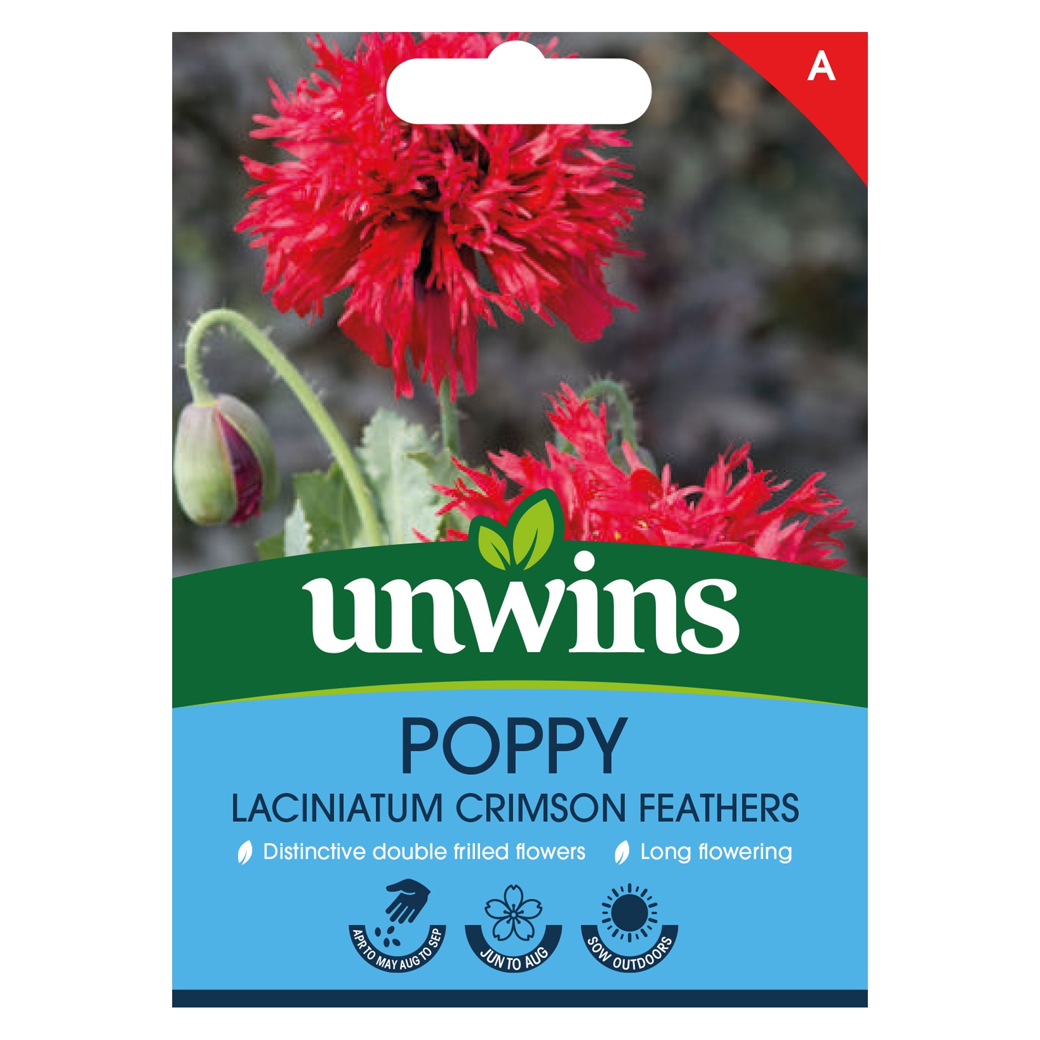 Unwins Poppy Laciniatum Crimson Feathers Seeds