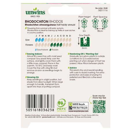 Unwins Rhodochiton Rhodos Seeds