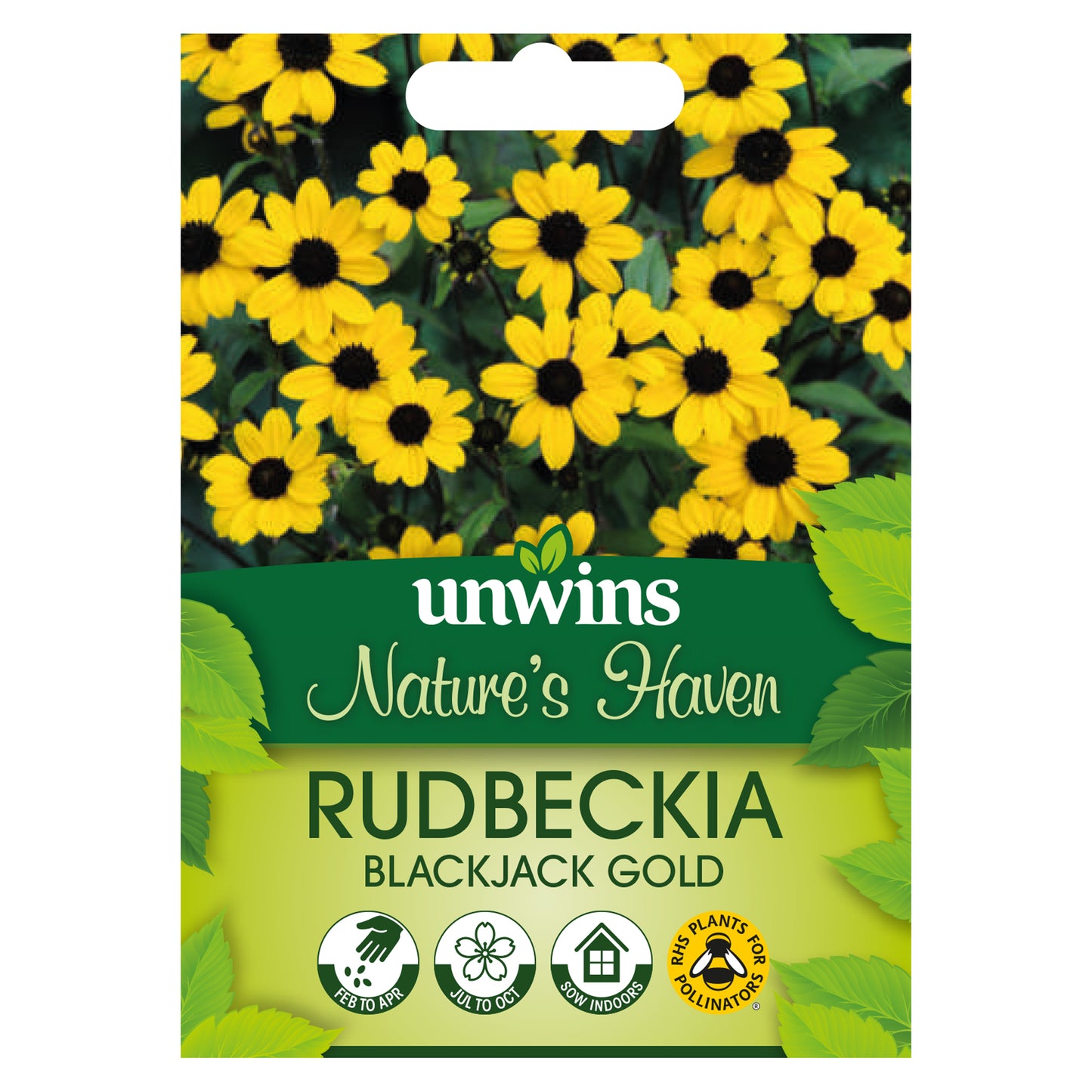 Nature's Haven Rudbeckia Blackjack Gold Seeds Front