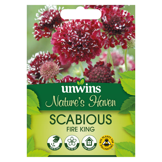 Nature's Haven Scabious Fire King Seeds front of pack
