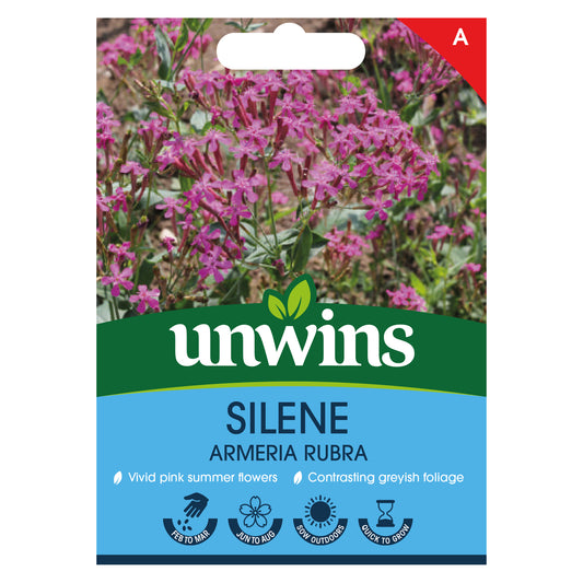 Unwins Silene Armeria Rubra Seeds front of pack