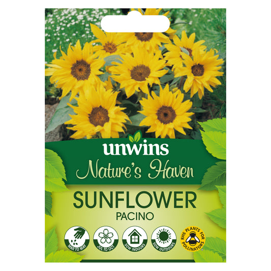 Nature's Haven Sunflower Pacino Seeds front of pack