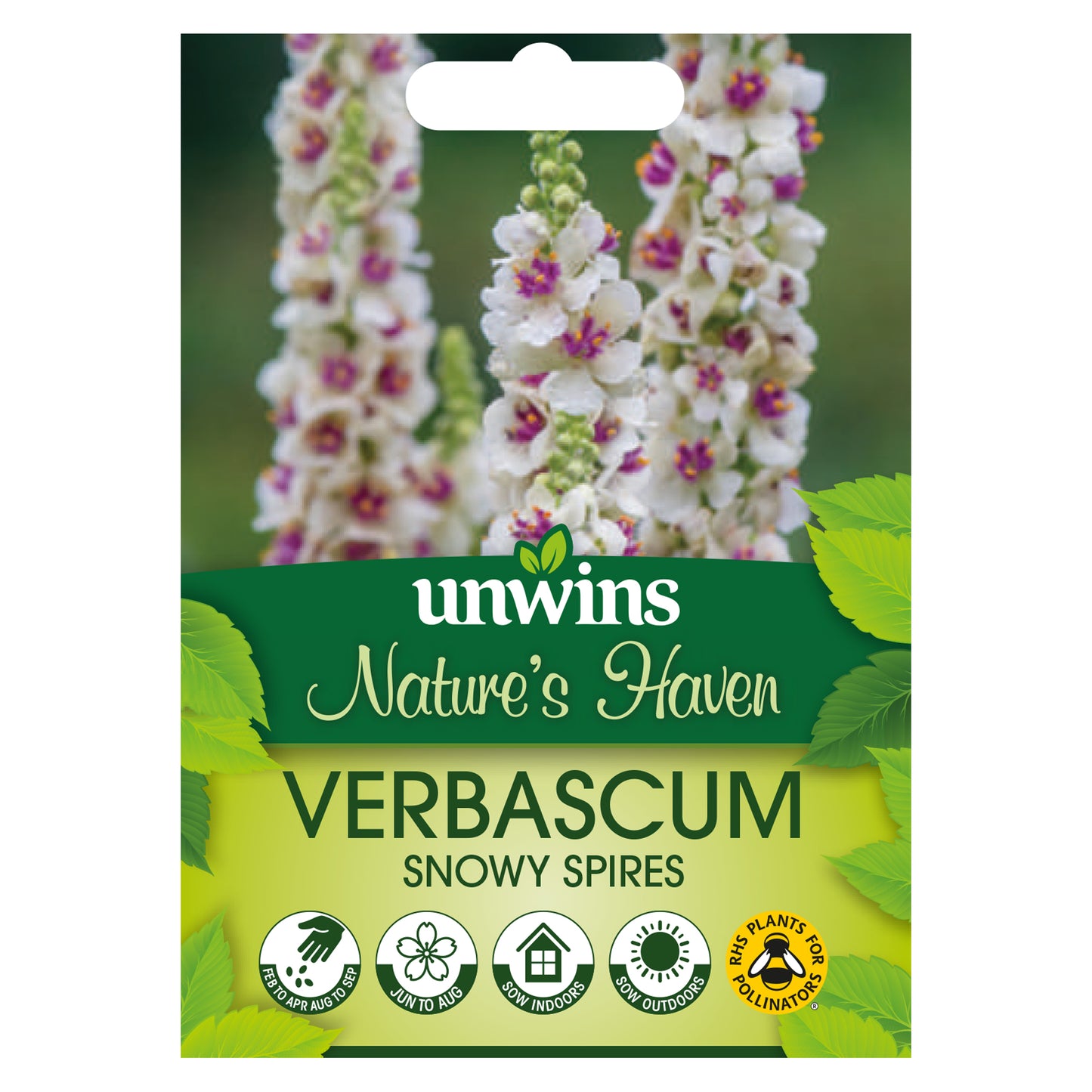Nature's Haven Verbascum Snowy Spires Seeds front of pack