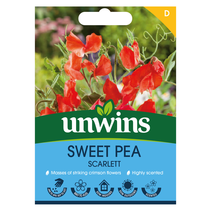 Unwins Sweet Pea Scarlett Seeds