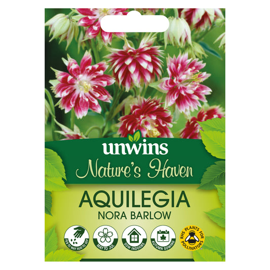 Unwins Nature's Haven Aquilegia Nora Barlow Seeds Front