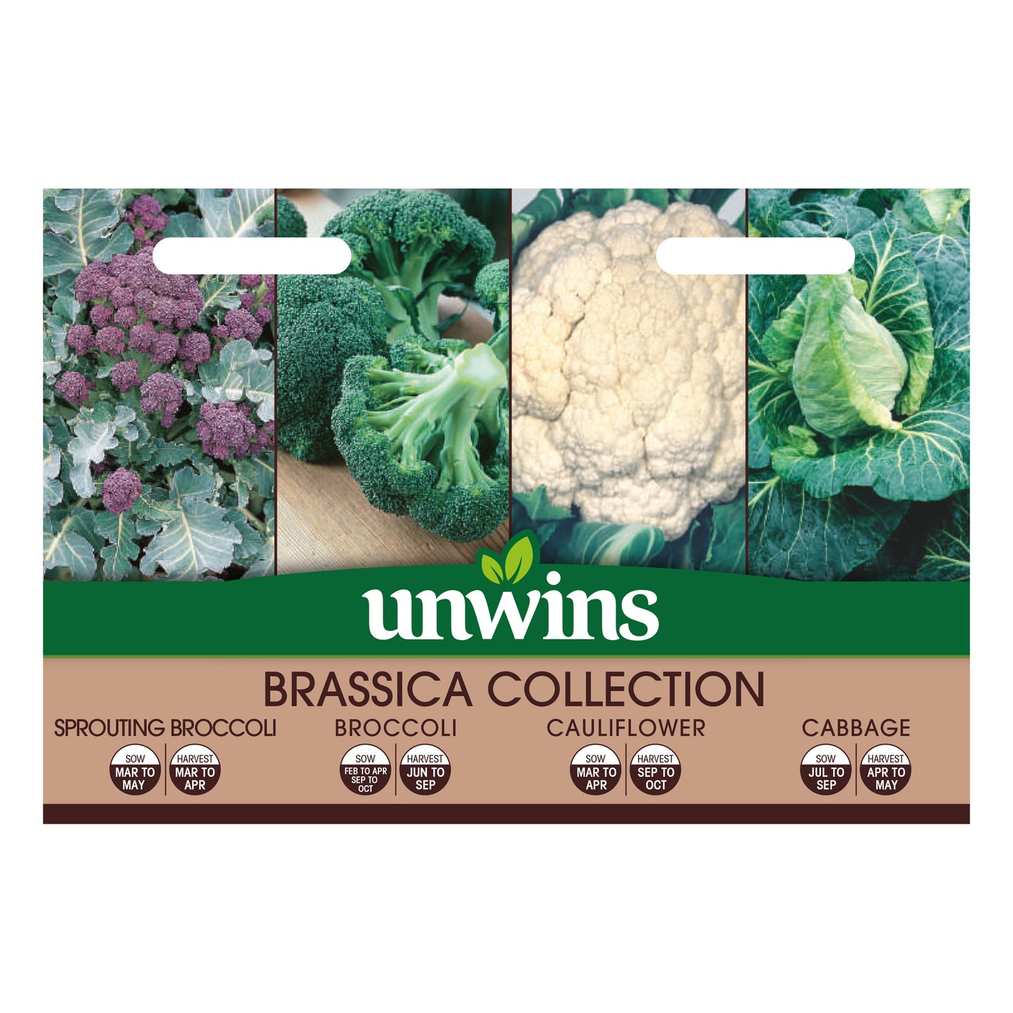 Unwins Brassica Collection Pack Seeds Front