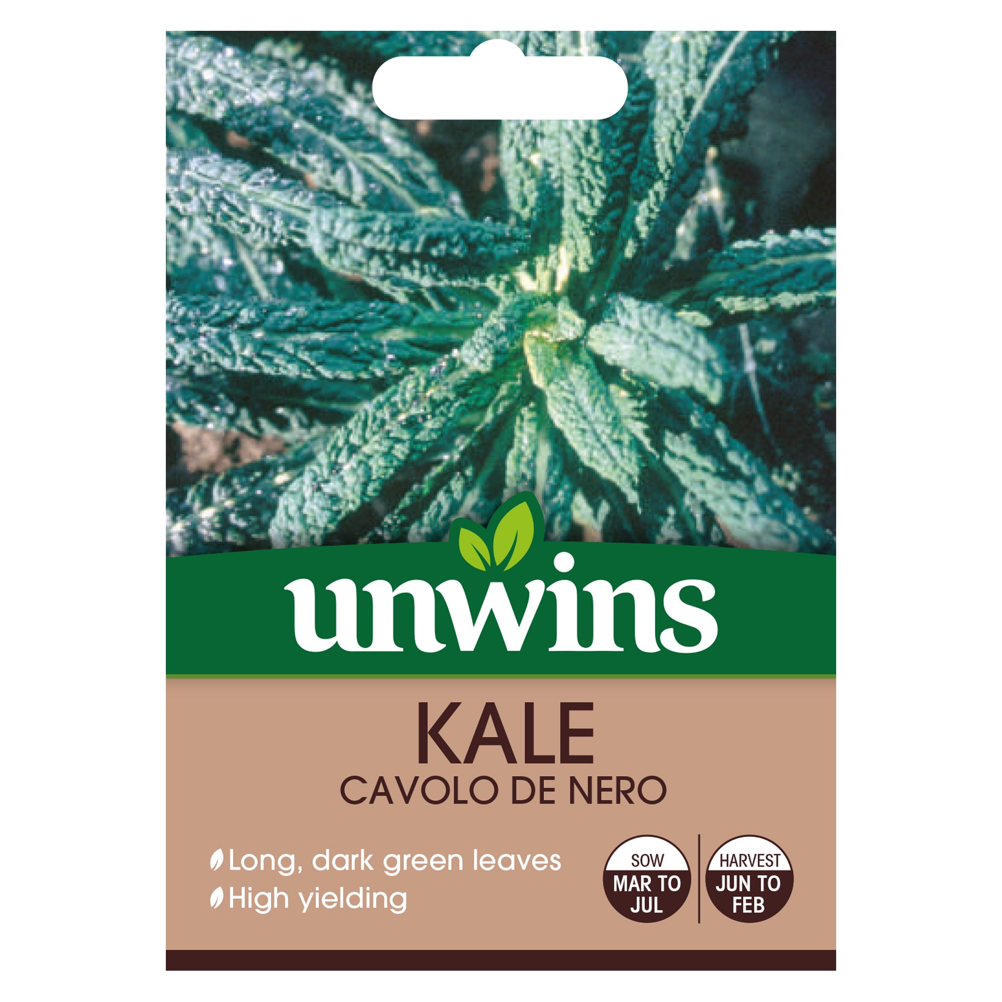 Unwins Kale Cavolo De Nero Seeds