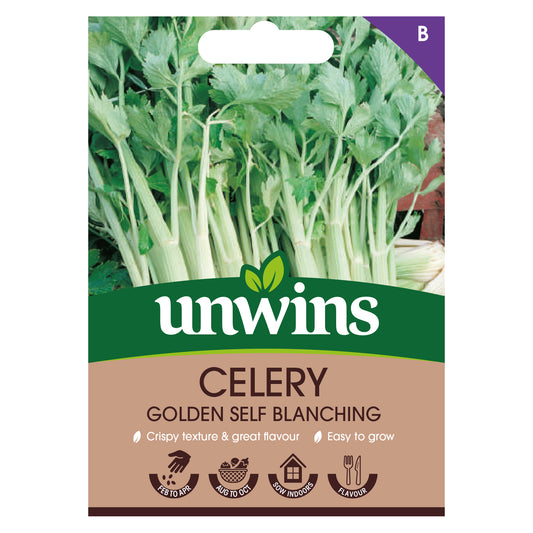 Unwins Celery Golden Self Blanching Seeds Front