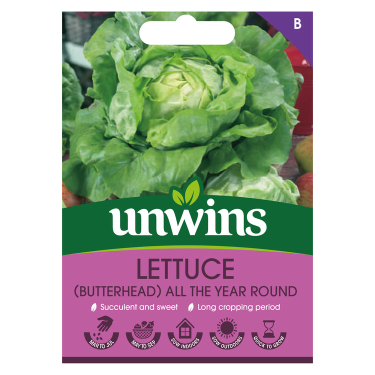 Unwins Butterhead Lettuce All the Year Round Seeds