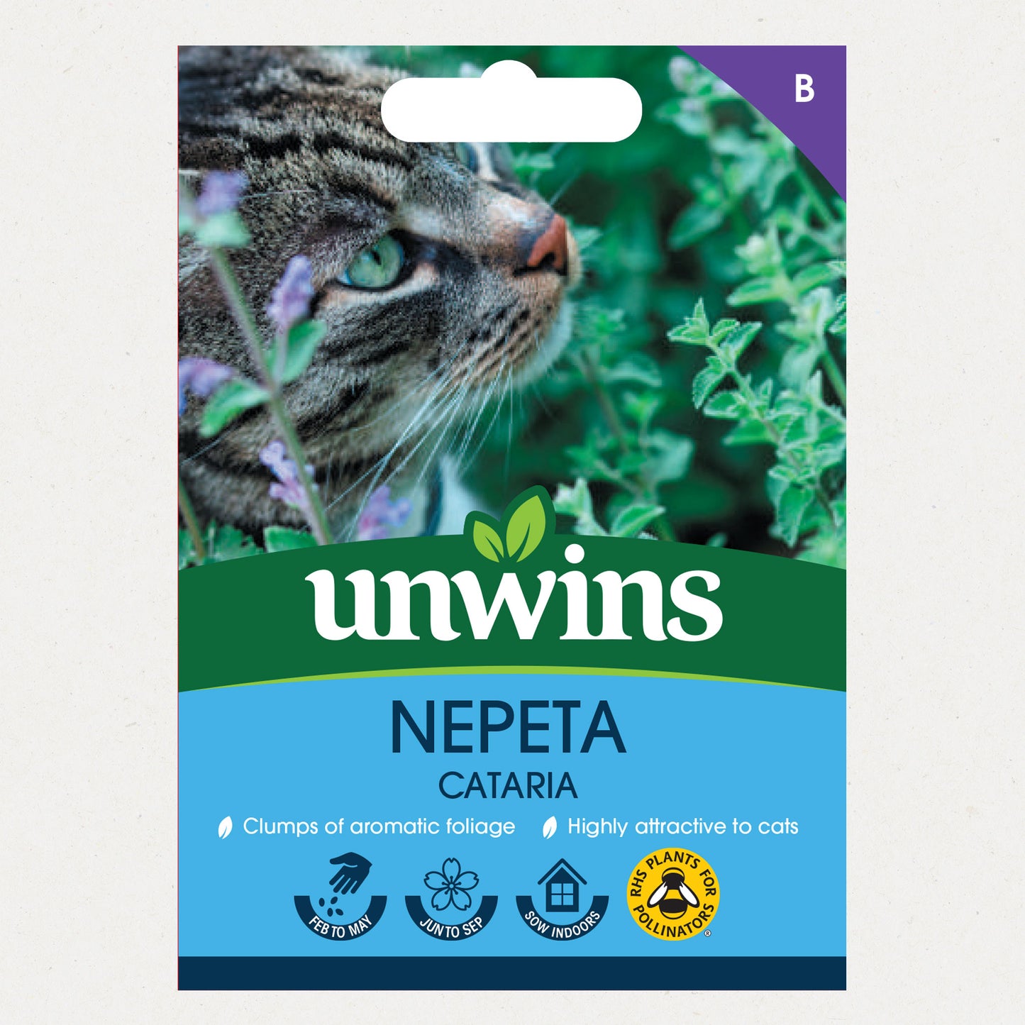 Unwins Nepeta Cataria Seeds Front