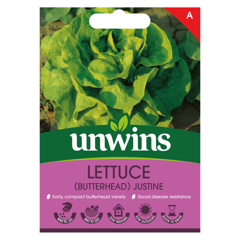 Unwins Butterhead Lettuce Justine Seeds