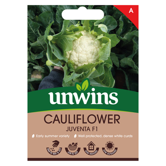 Unwins Cauliflower Juventa F1 Seeds Front