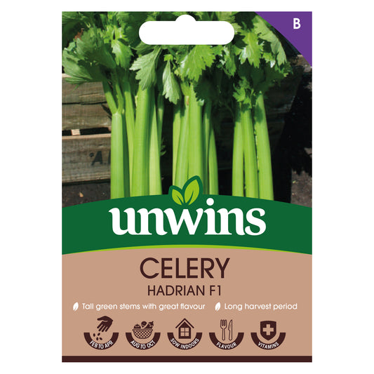 Unwins Celery Hadrian F1 Seeds Front