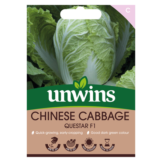 Unwins Chinese Cabbage Questar F1 Seeds Front