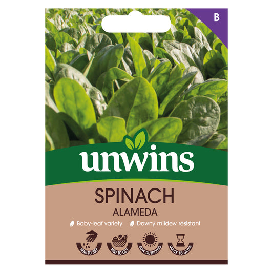 Unwins Spinach Alameda Seeds front of pack