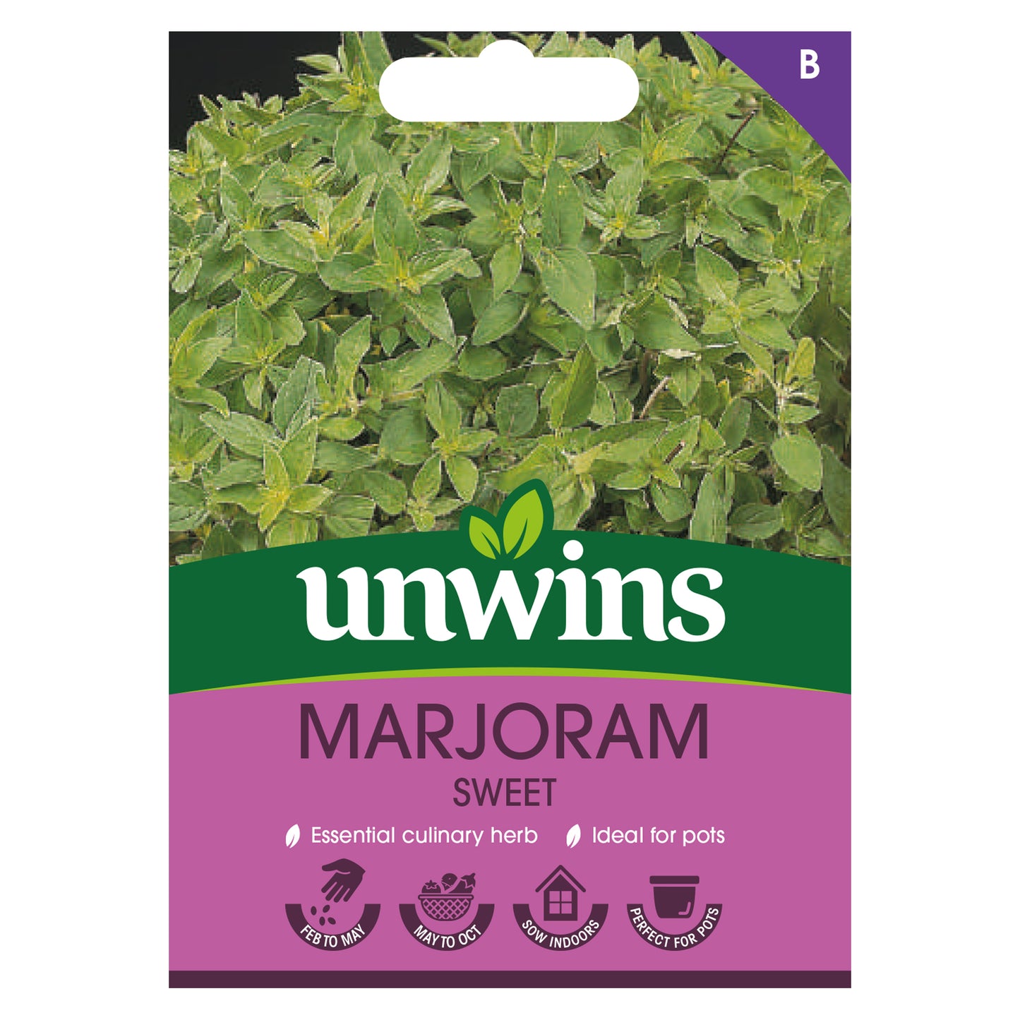 Unwins Marjoram Sweet Seeds front