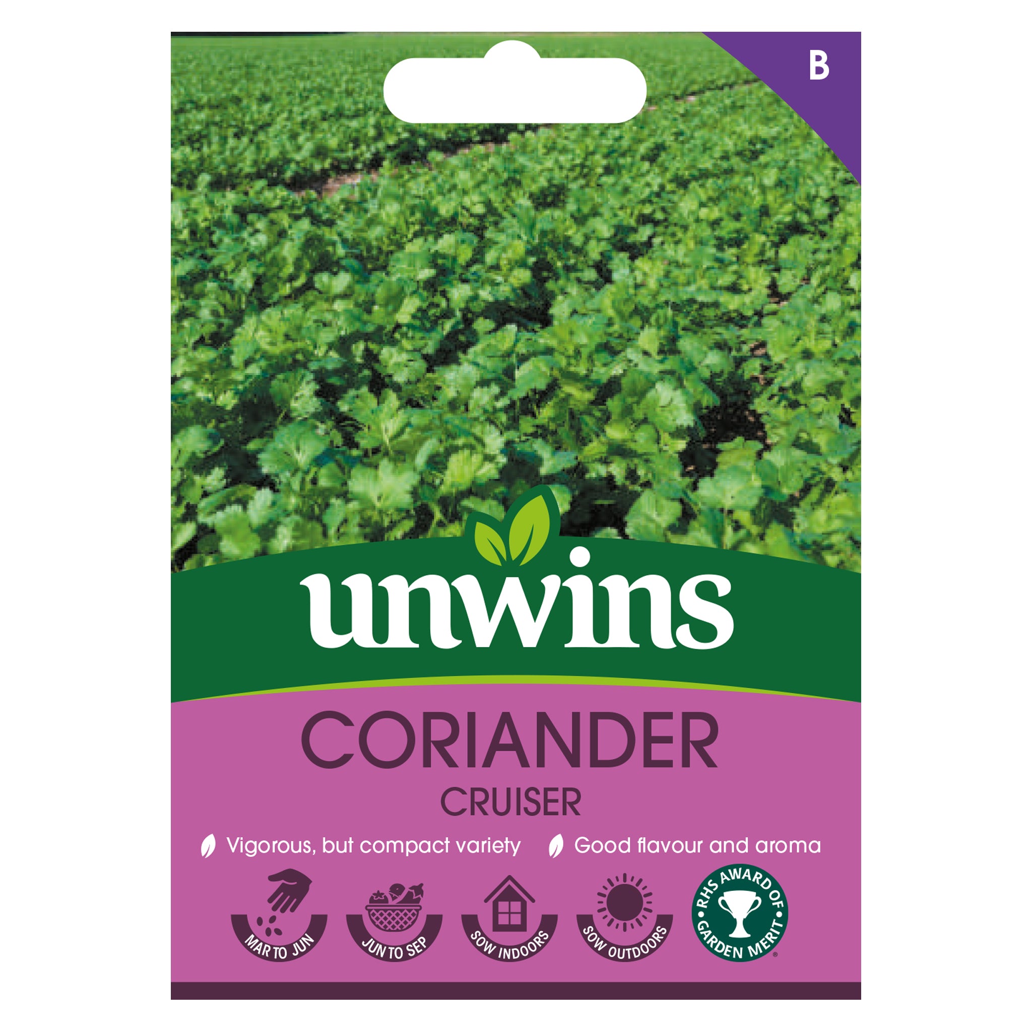 Unwins Coriander Cruiser Seeds