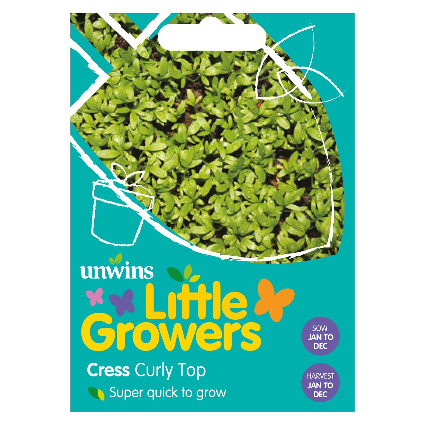 Little Growers Cress Curly Top Seeds front of pack