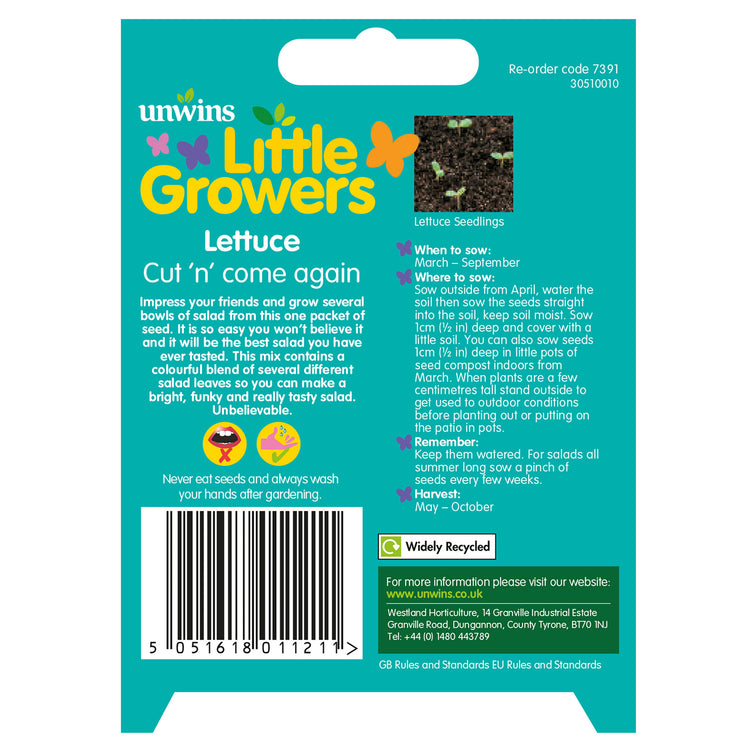 Little Growers Lettuce Cut n' come again Seeds