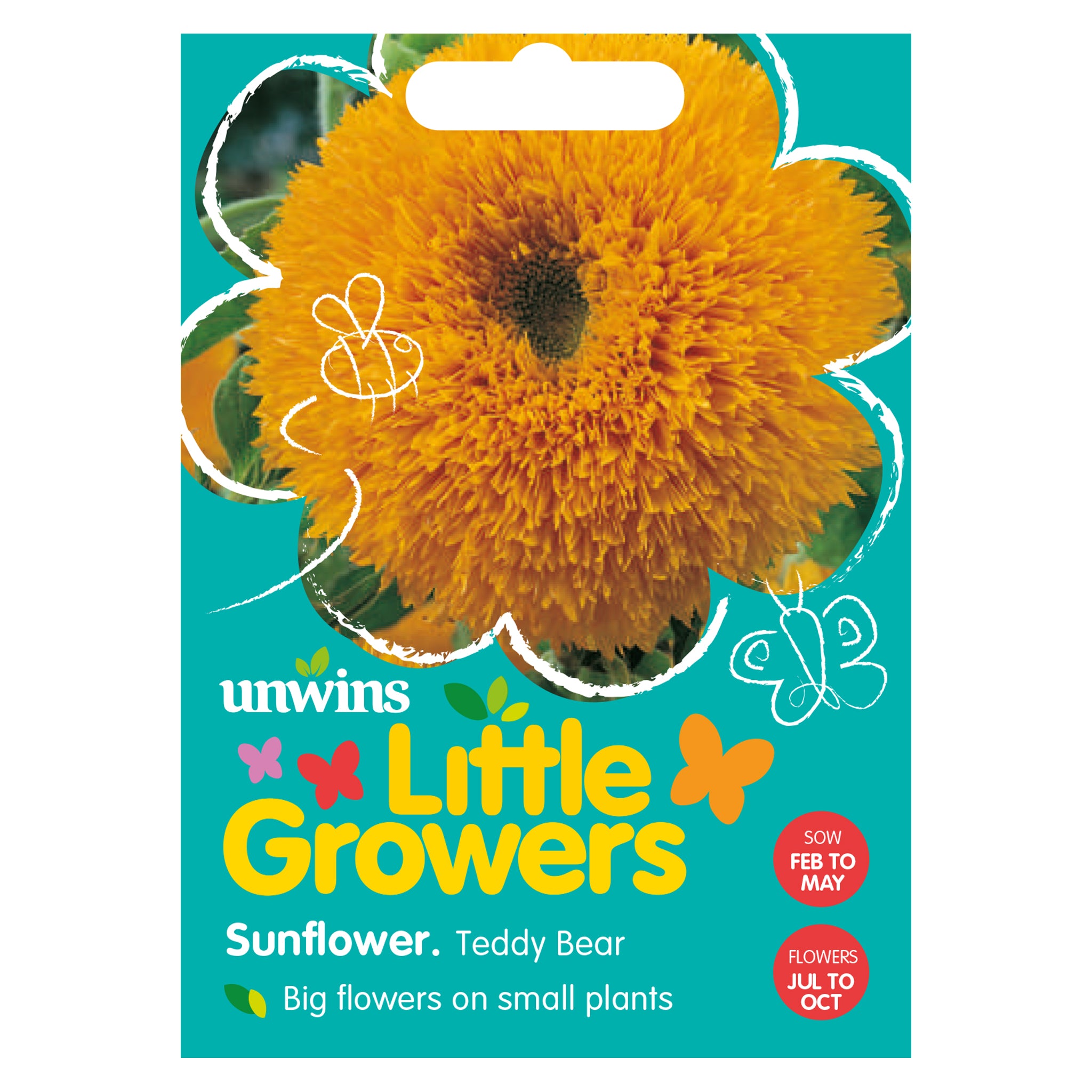 Little Growers Sunflower Teddy Bear Seeds - Flowers – Unwins UK