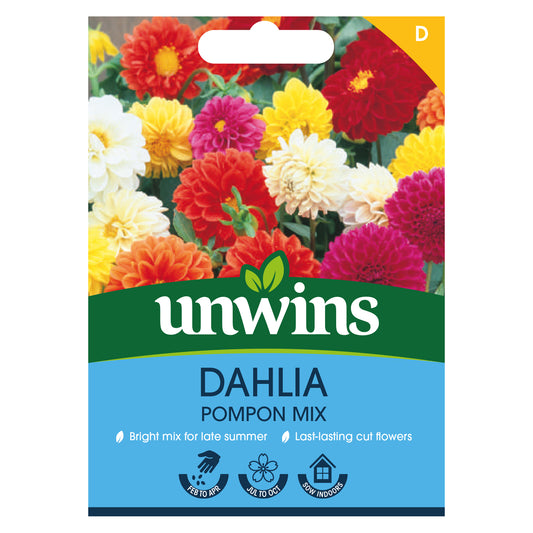 Unwins Dahlia Pompon Mix Seeds Front