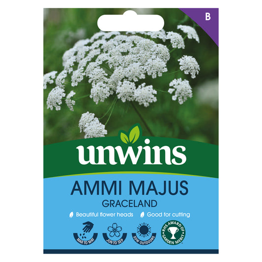 Unwins Ammi Majus Graceland Seeds Front