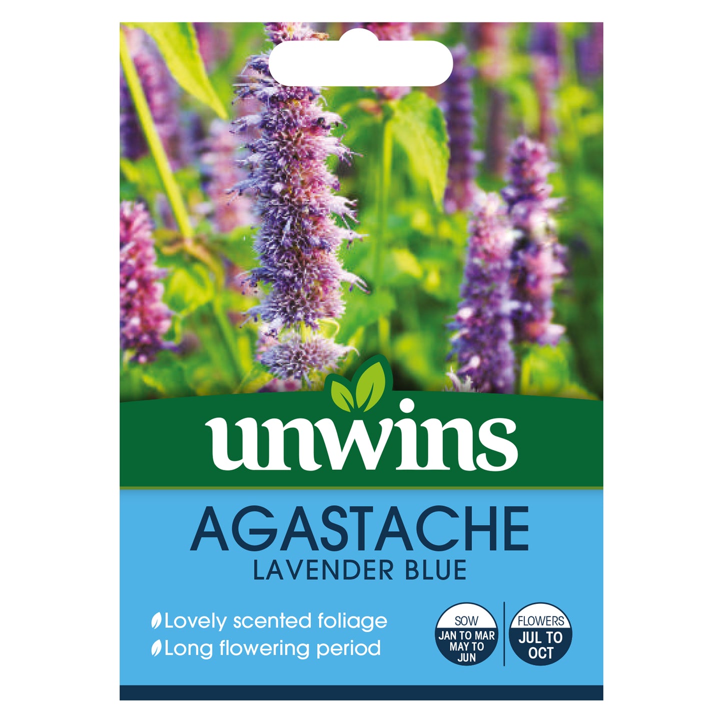 Unwins Agastache Lavender Blue Seeds front of pack