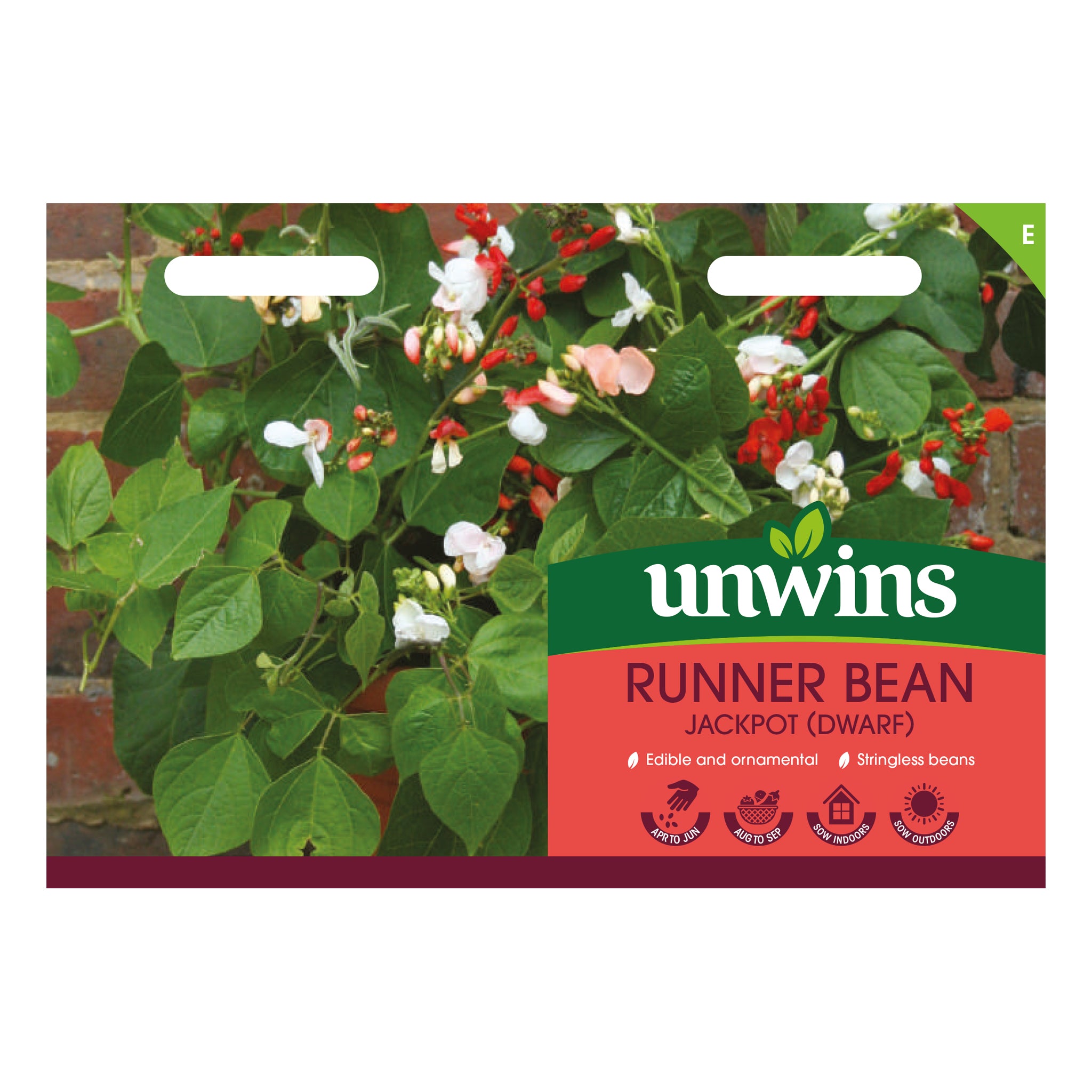 Unwins Dwarf Runner Bean Jackpot Seeds