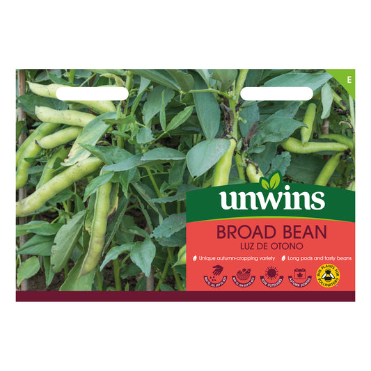 Unwins Broad Bean Luz de Otono Seeds Front