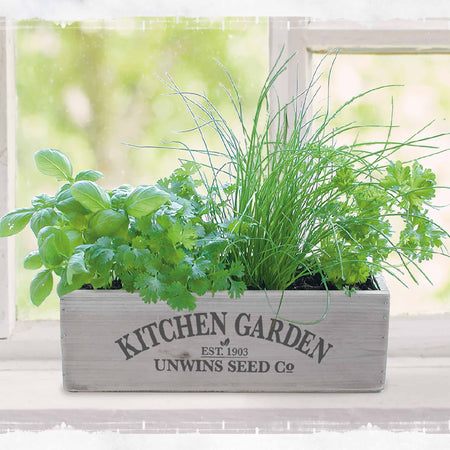 Unwins Homegrown Herb Kitchen Garden