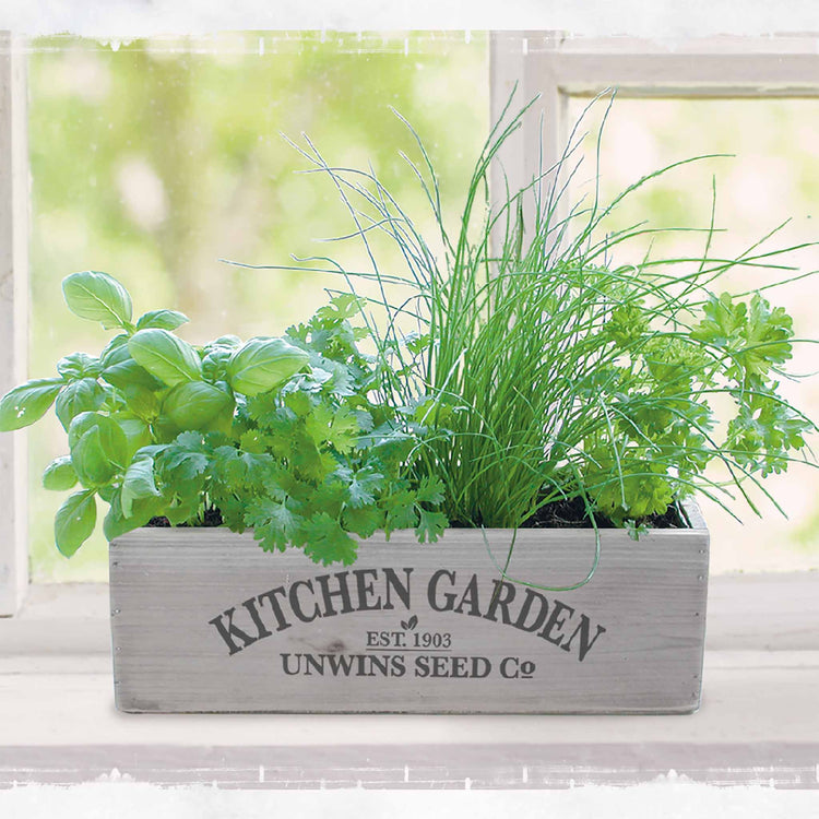Unwins Homegrown Herb Kitchen Garden