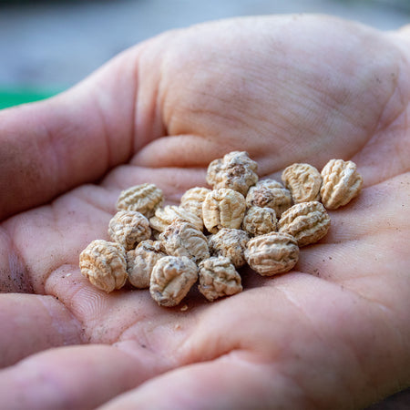 Unwins Nasturtium Alaska Mix Seeds