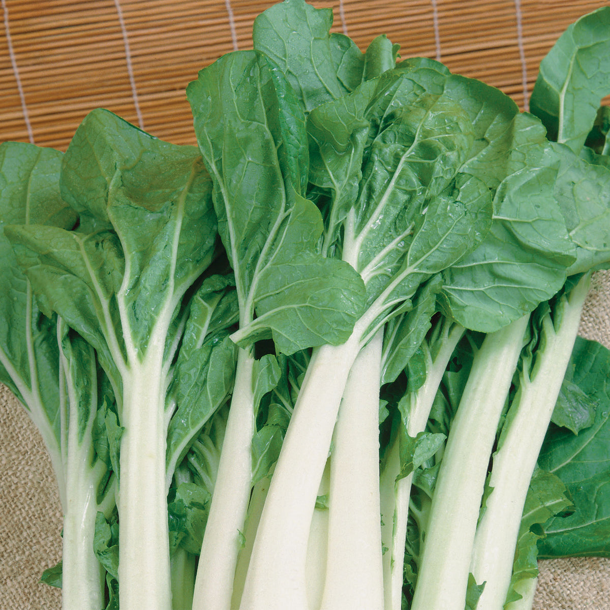 Pakcho Unwins Organic Pak Choi White Stem Seeds - Vegetables – Unwins UK