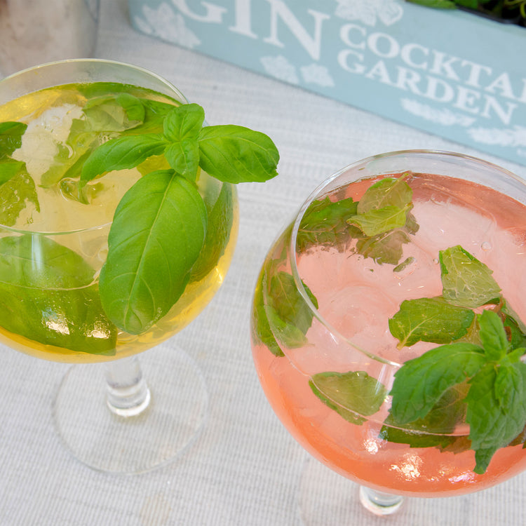 Unwins Homegrown Gin Cocktail Garden Kit