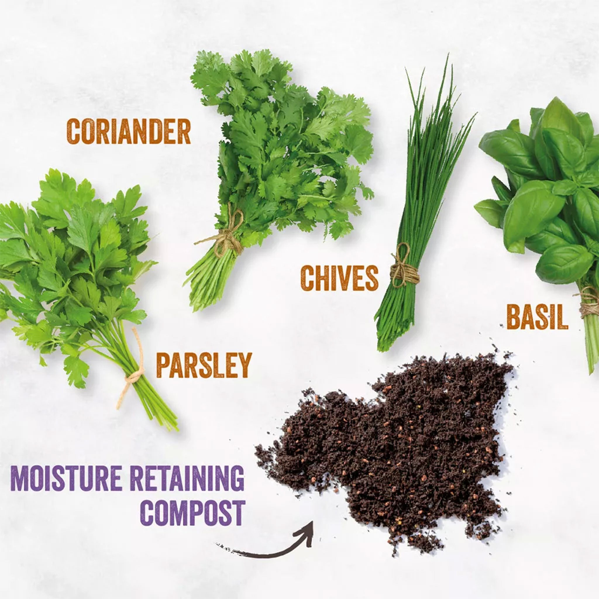 Unwins Homegrown Herb Kitchen Garden Gifts & Kits Unwins UK