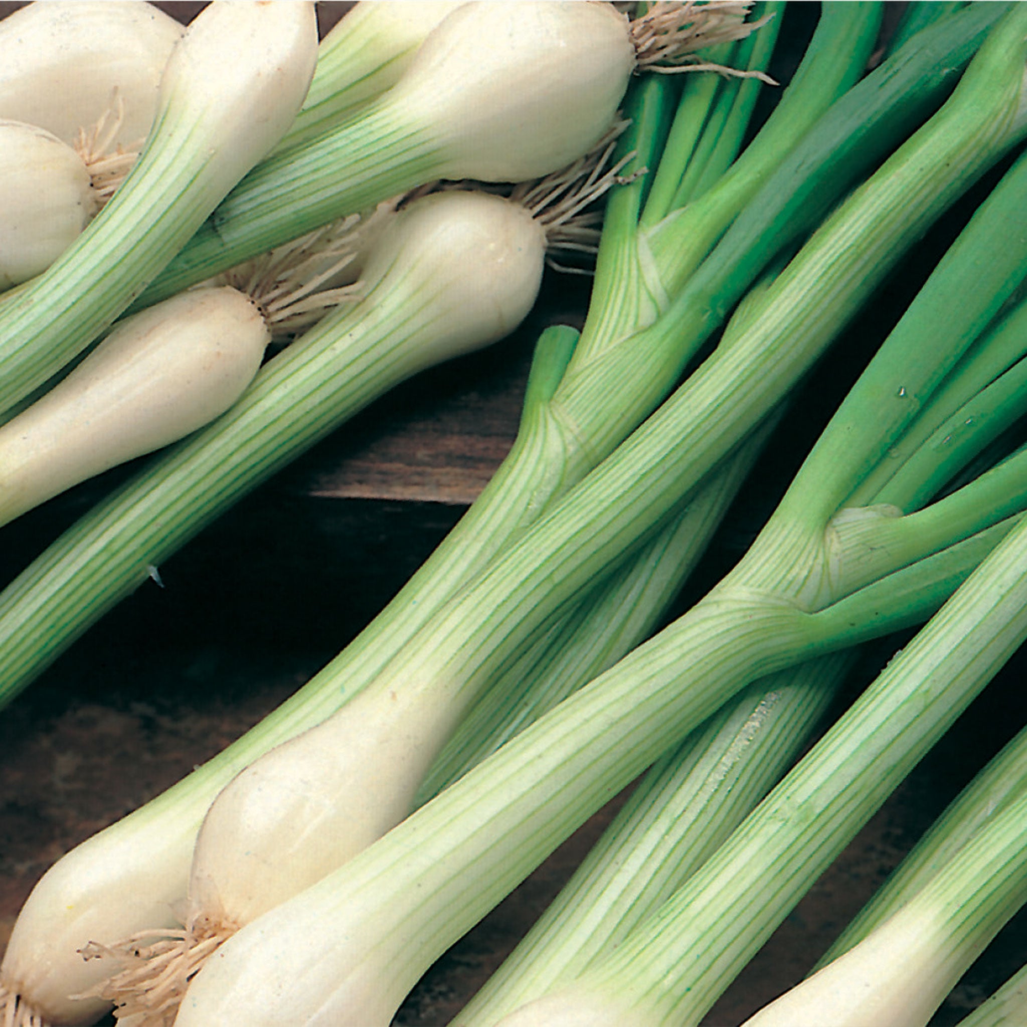 Onions, Shallots & Spring Onion Seeds - Vegetable Seeds – Unwins UK