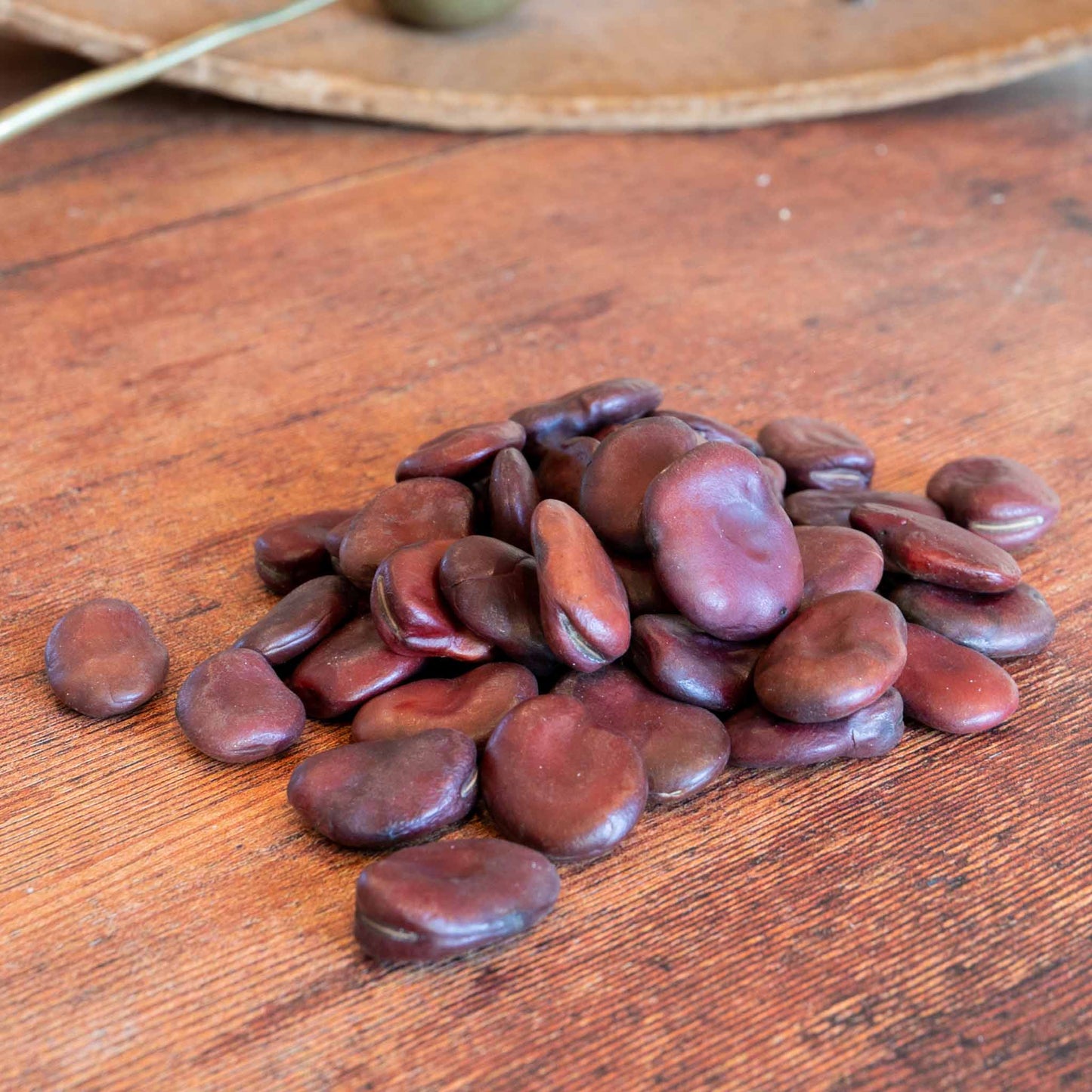 unwins broad bean seeds 1