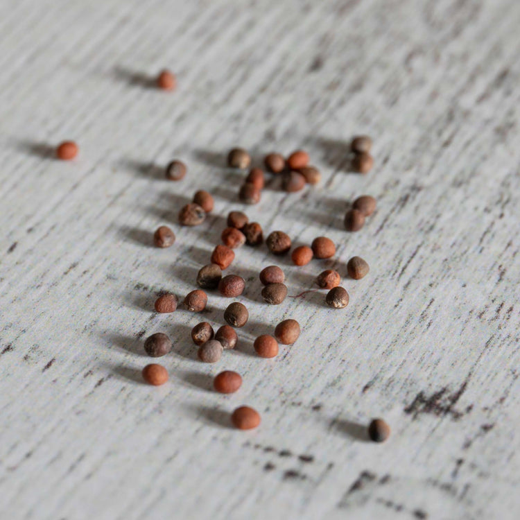 Unwins Broccoli Early Purple Sprouting Seeds