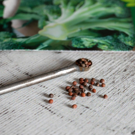 Unwins Broccoli Early Purple Sprouting Seeds