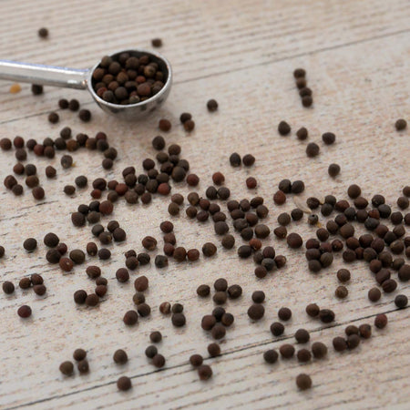 Unwins Round Cabbage Madison F1 Seeds