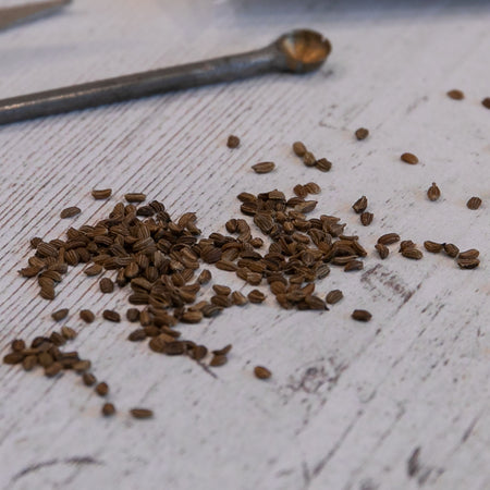 Unwins Patio Carrot Short N Sweet Seeds