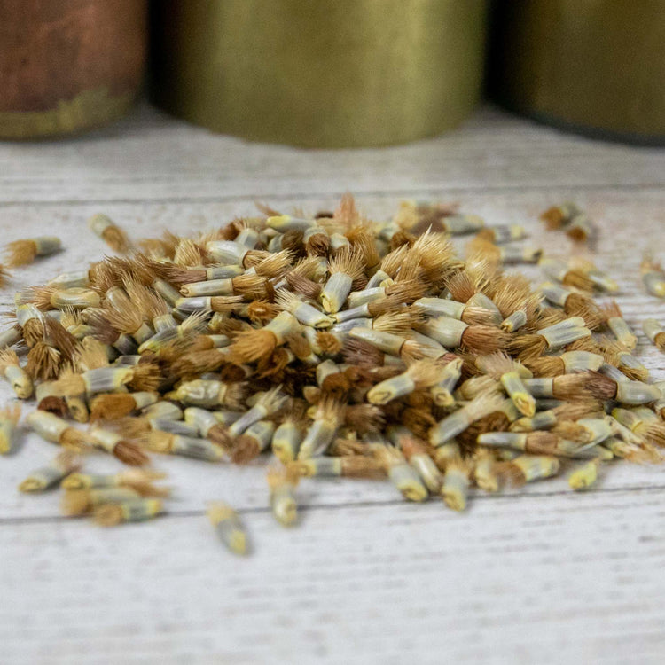 corn flower seeds Nature's Haven Cornflower Seeds