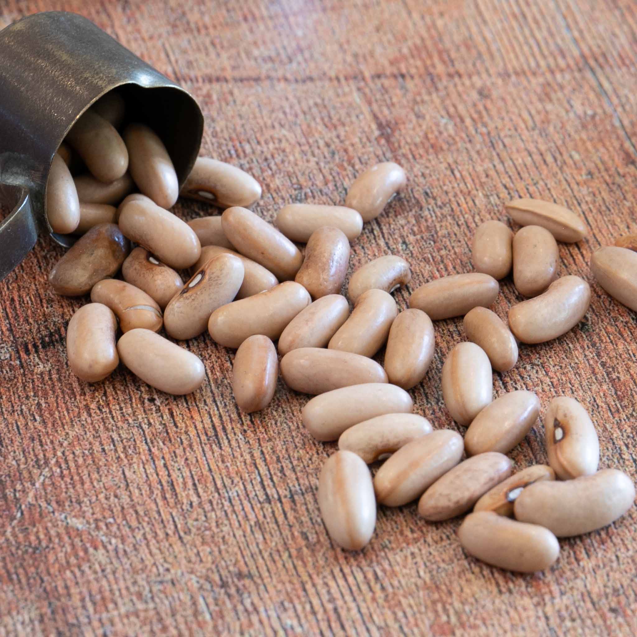 Unwins Dwarf French Bean Voltage Seeds