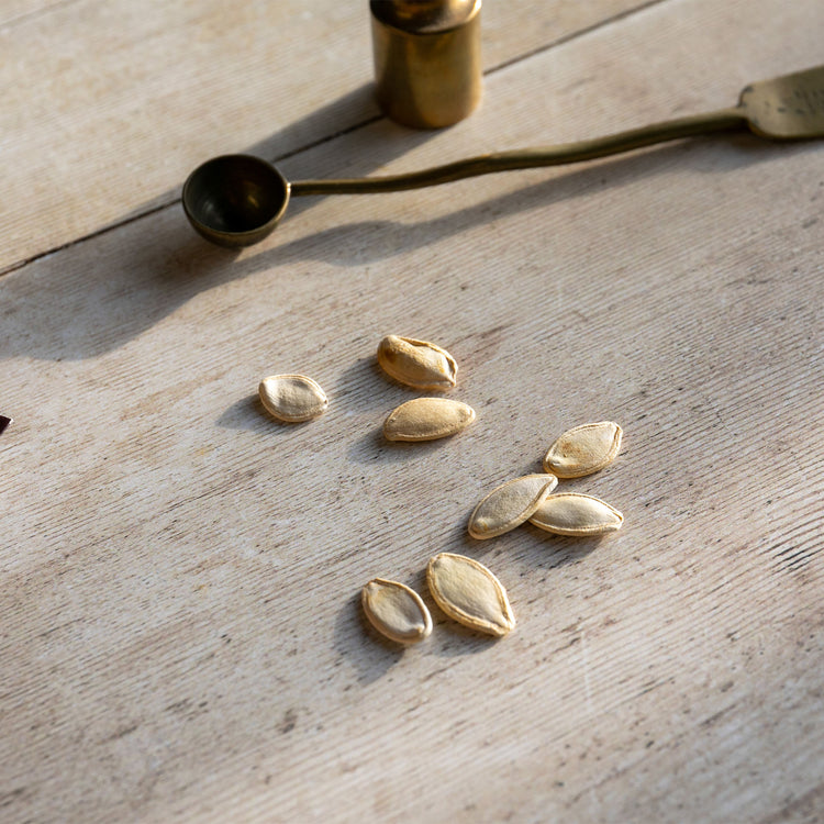 bulk pumpkin seeds for planting uk Unwins Pumpkin Pacific Giant Seeds