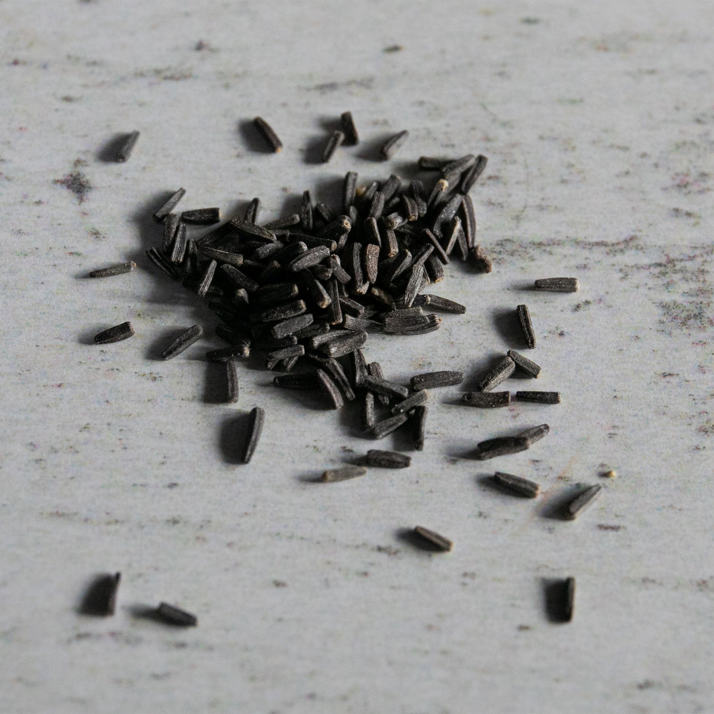 rudbeckia seeds