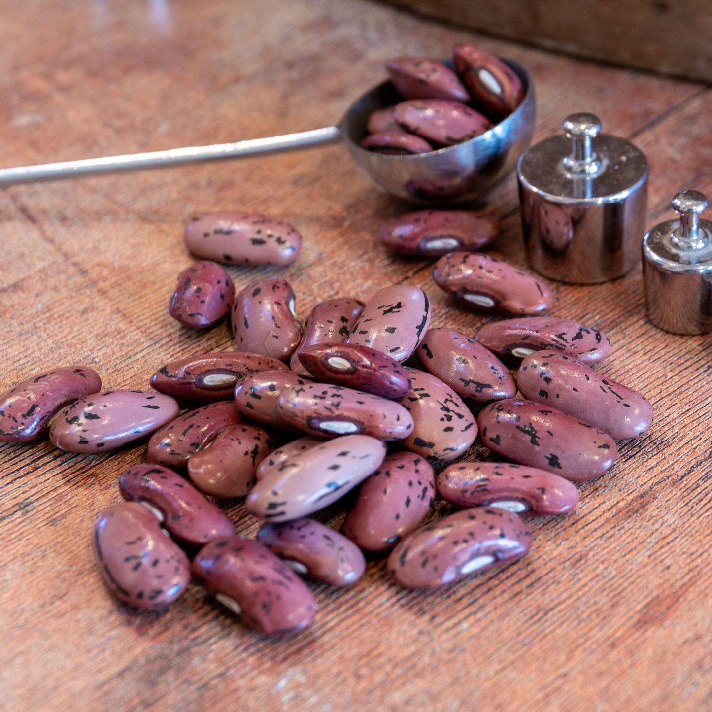 runner beans seeds