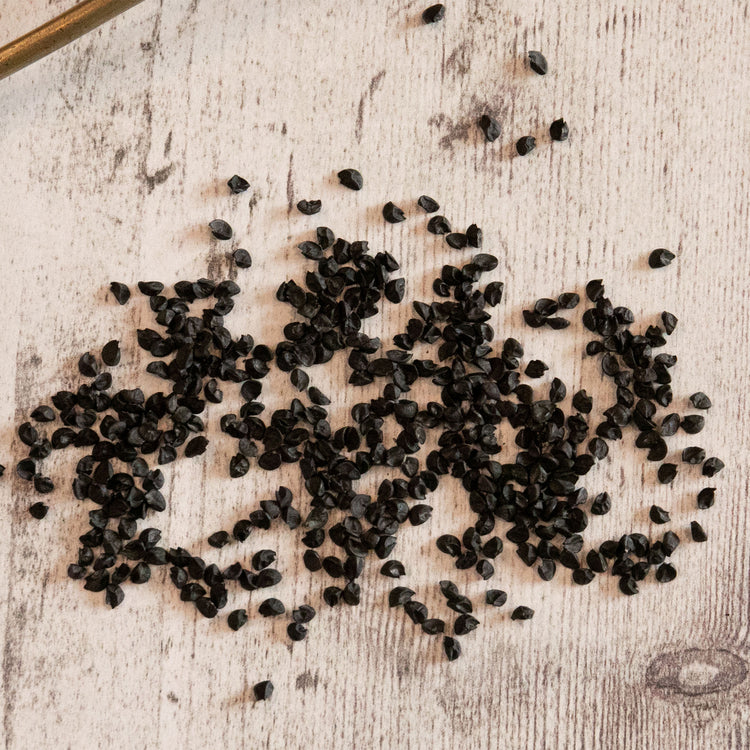 plant spring onion seeds Unwins Spring Onion Deep Purple Seeds